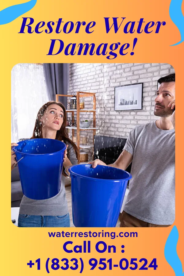 water restoration Elite Flood Mitigation Authority Sunnyland