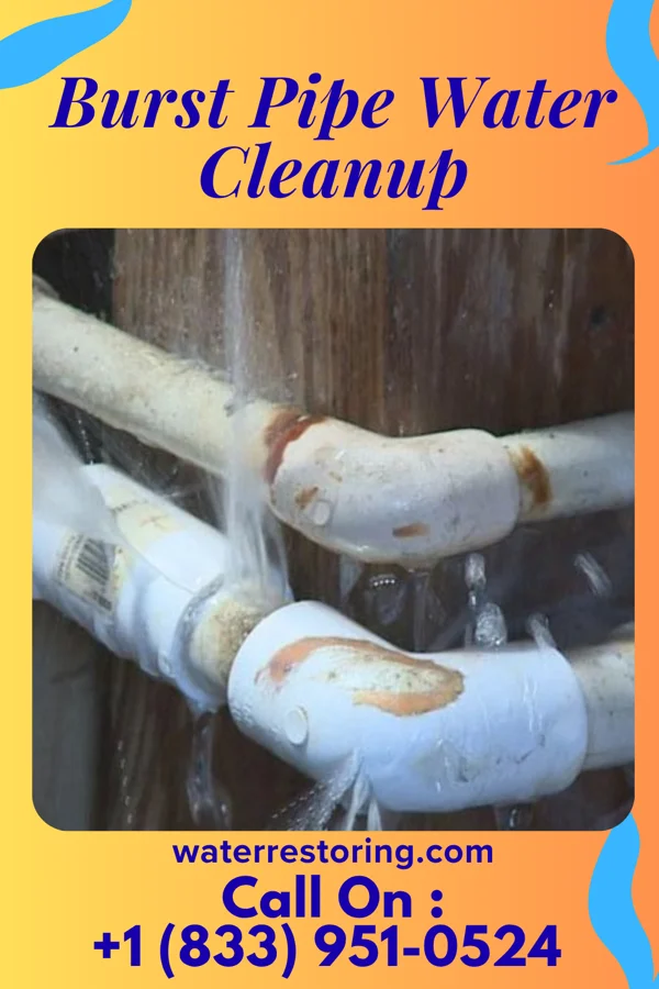 Burst Pipe Water Cleanup in Sunnyland, IL