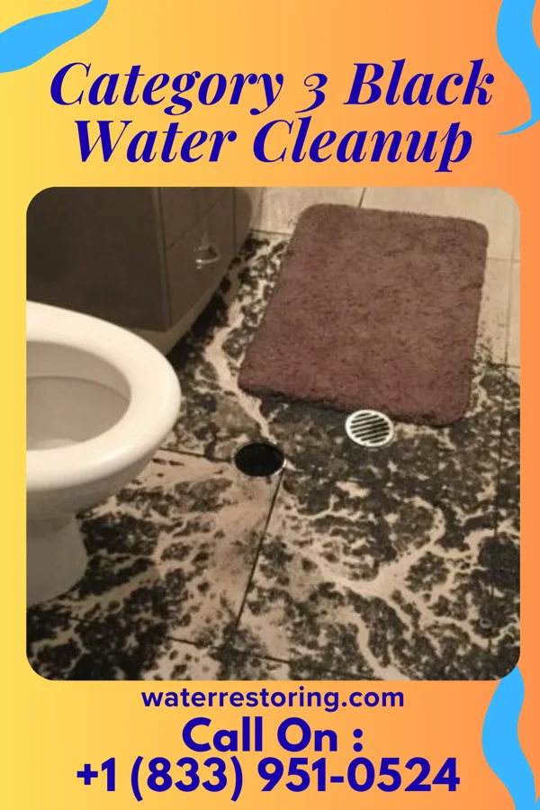 Category 3 Black Water Cleanup in Sunnyland, IL