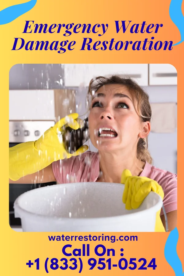 Emergency Water Damage Restoration in Sunnyland, IL