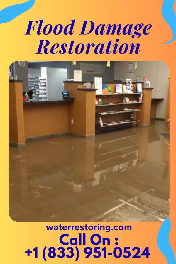 Flood Damage Restoration in Sunnyland, IL